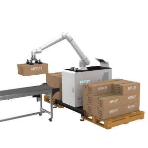 Co-Palletizer S20 - Stationær